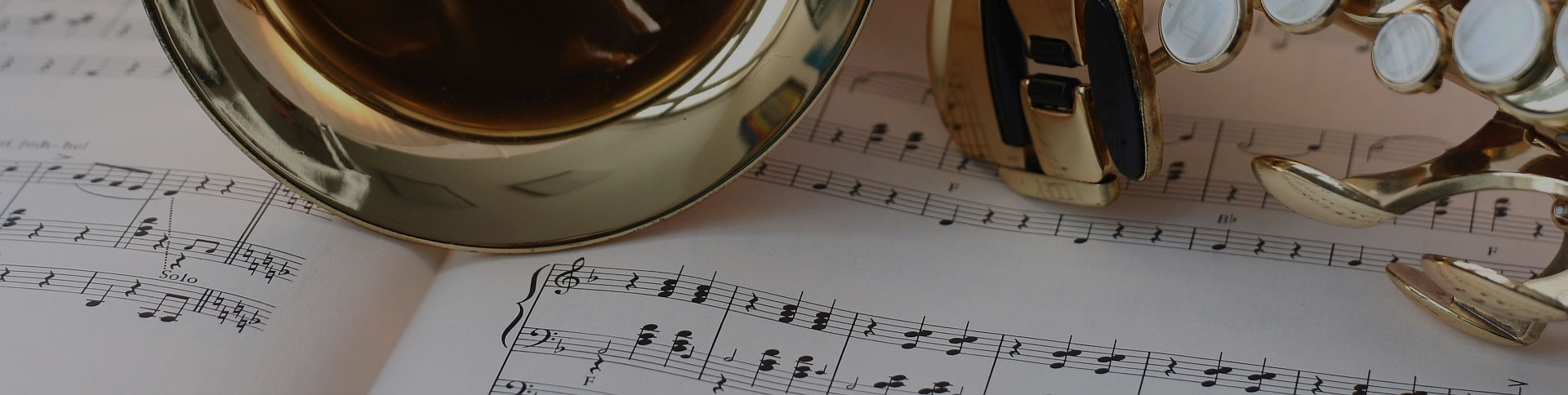 中國民族管弦樂學(xué)會-微信考試證書平臺|一網(wǎng)天行-網(wǎng)站建設(shè)小程序APP系統(tǒng)軟件開發(fā)公司