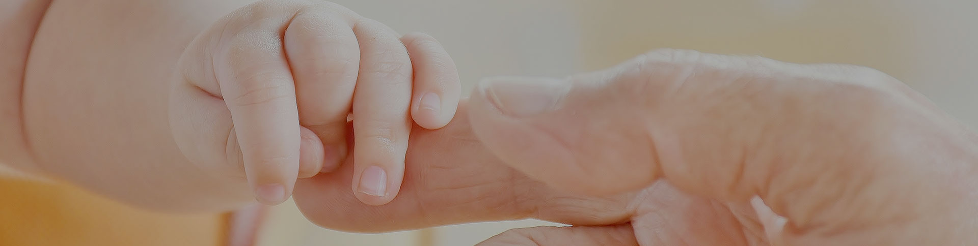 寶拾貳-兒童用品電商平臺|一網(wǎng)天行-網(wǎng)站建設(shè)小程序APP系統(tǒng)軟件開發(fā)公司