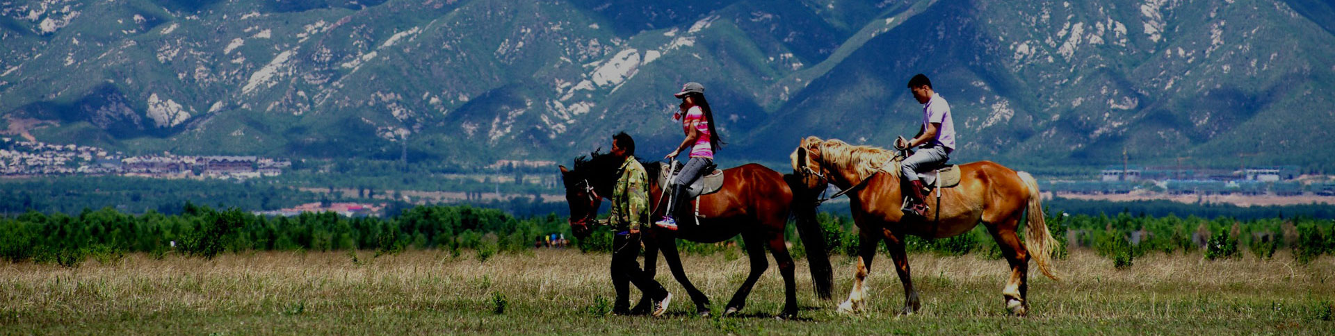 京西北旅游-微信H5展示平臺|一網(wǎng)天行-網(wǎng)站建設小程序APP系統(tǒng)軟件開發(fā)公司